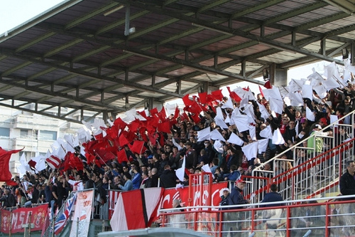 CARPI - carrarese