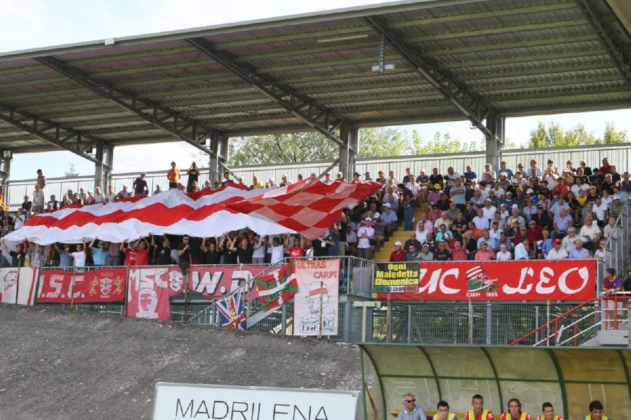CARPI - Gavorrano